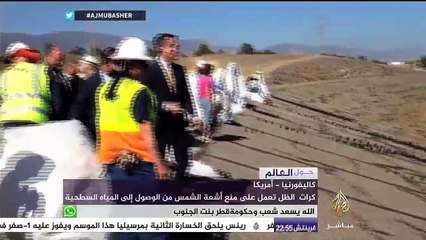 حول العالم.. إطلاق 20ألف كرة ظل جنوبي كاليفورنيا لمكافحة الجفاف