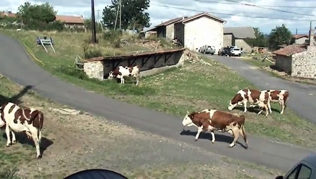 Chadouard 15.08.2015.