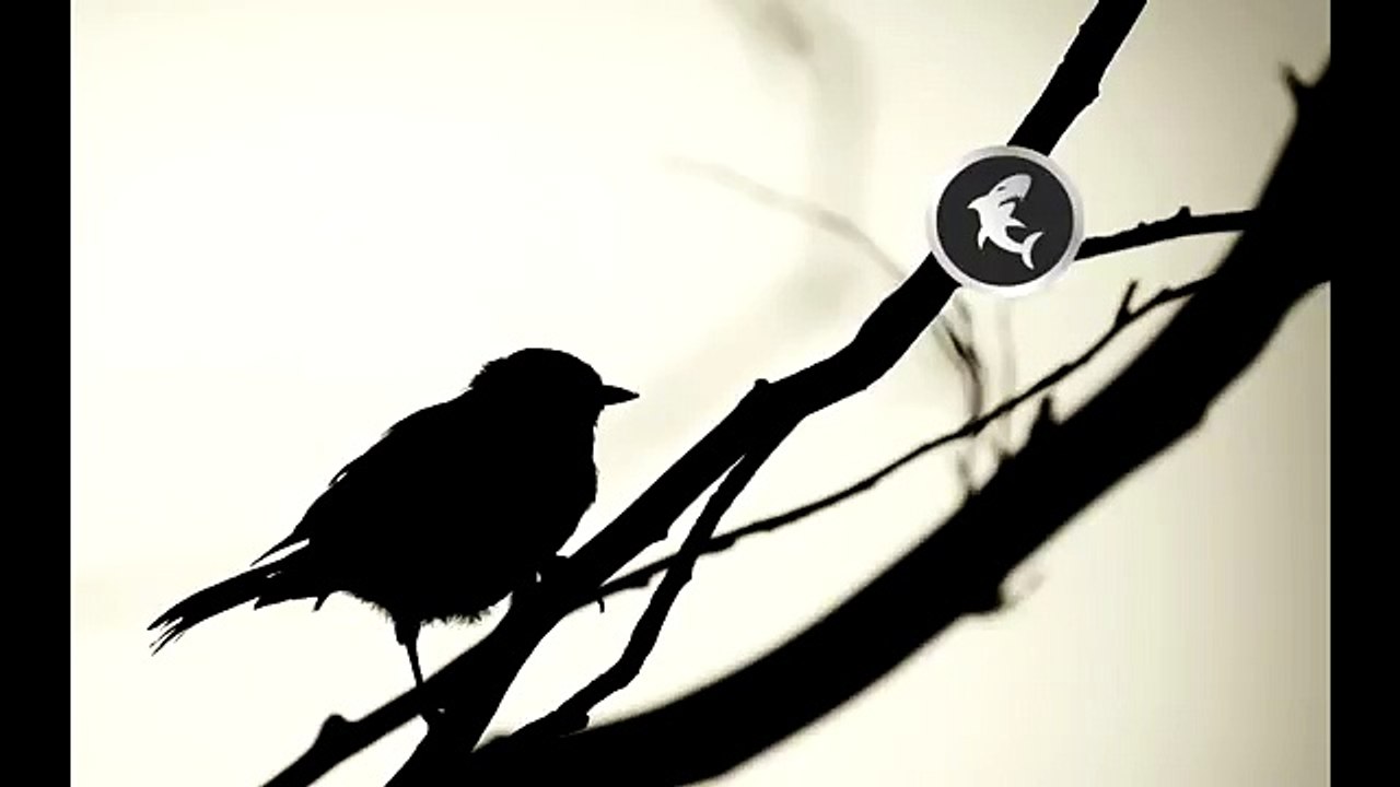 Epic Inspiring Piano Rap Beat Hip Hop Instrumental with Hook   I believe in you