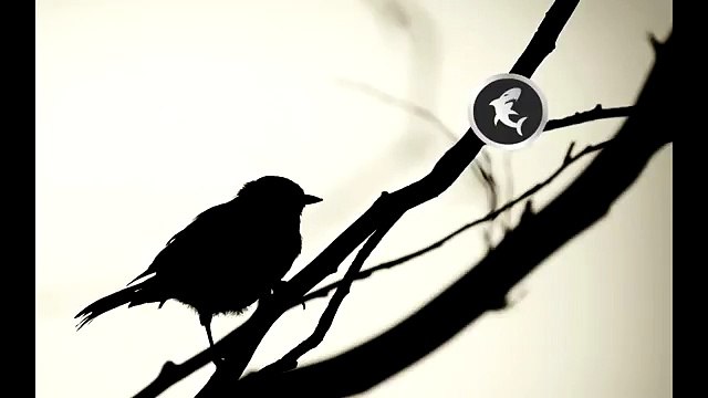 Epic Inspiring Piano Rap Beat Hip Hop Instrumental with Hook I believe in you