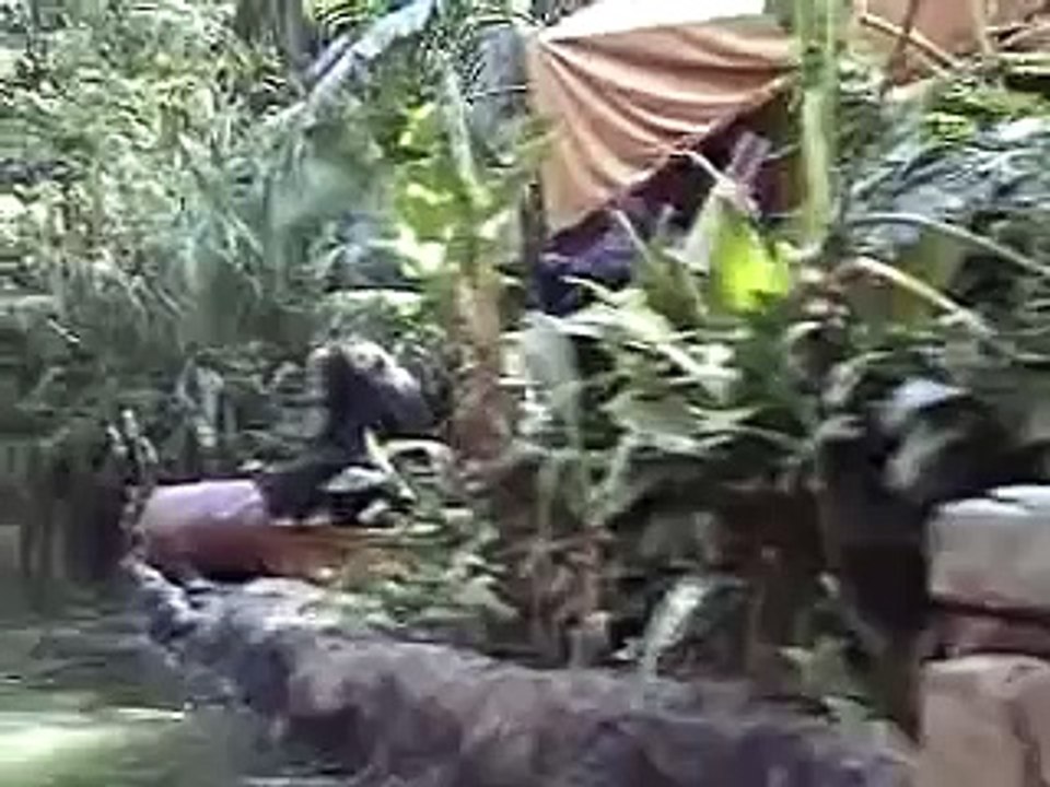Jungle Cruise - Adventureland - Disneyland