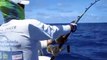 Underwater with 100lb+ Yellowfin Tuna - Antigua Deep Sea FAD Fishing
