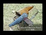 APS (Stechkin Machine Pistol)