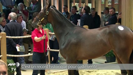 Deauville/yearling: vente record de 2,6 millions d'euros