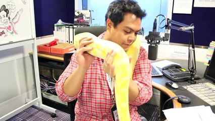 Casey Anderson of America The Wild