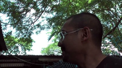 Animals Matter To Me - hitz.fm Morning Crew