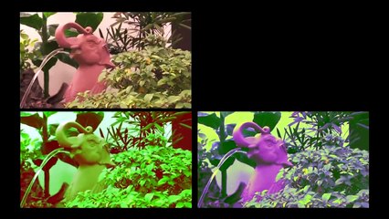 [Viet Sub] Happy Polla nhảy Người Ấy tặng Fan Việt