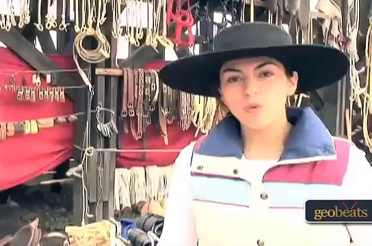 Travel Chile - Visit a Chilean Rodeo in Santiago