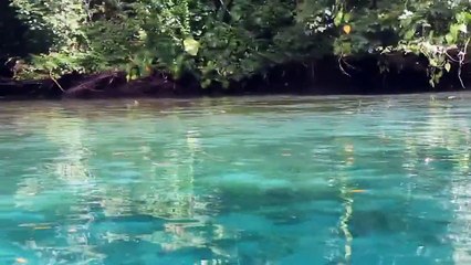 Isla Escudo de Veraguas