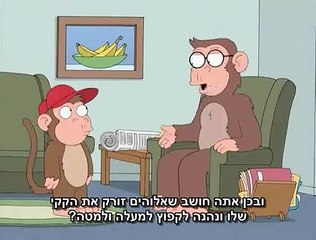 קופים מדברים על דת ועל אלוהים  - איש משפחה