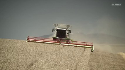 NEW CLAAS LEXION 2016
