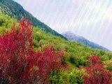 Ilam Iran Video 1/3  - زیباییهای استان ایلام - ایلام توریسم