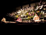 Nijo Castle Illumination- Spring 2011 (Koto Concert)