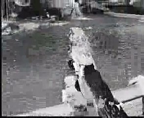 Federico Fellini Cinema