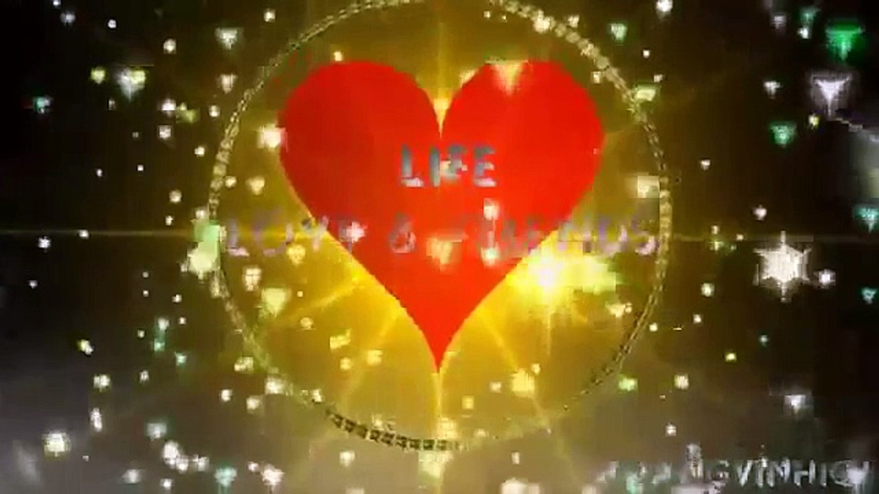 zwierzę gody -- śmieszne zwierzęta gody -- śmieszne zwierzęta 04