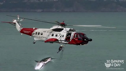 Shark Attack Caught on Tape ! Real or Fake