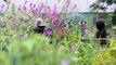 The Share Garden – helping disabled people reach their potential through horticulture