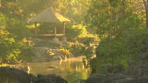 Top Belize Jungle Lodges