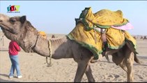 Camel Safari - Jaisalmer, Rajasthan - India by Rooms and Menus