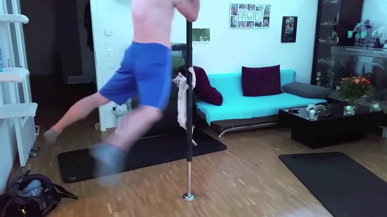Pole Dancing Kitten Is Pure Gold