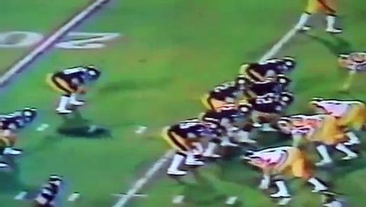 Pittsburgh Steelers Great Plays - video dailymotion