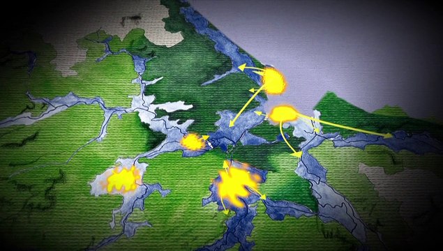 Migrateurs des Marais du Cotentin et du Bessin