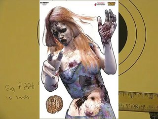 Pistol Shooting for First Time - Sig 226 and Glock 17 RTF