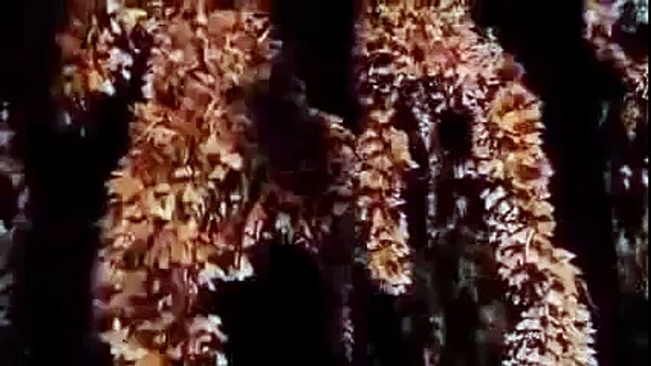 Animal Planet 2015 - Discovery Channel - Wildlife Animals - Butterfly Documentary