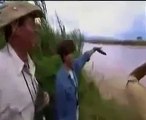 GIANT CROCODILE Discovery/Animals/Nature