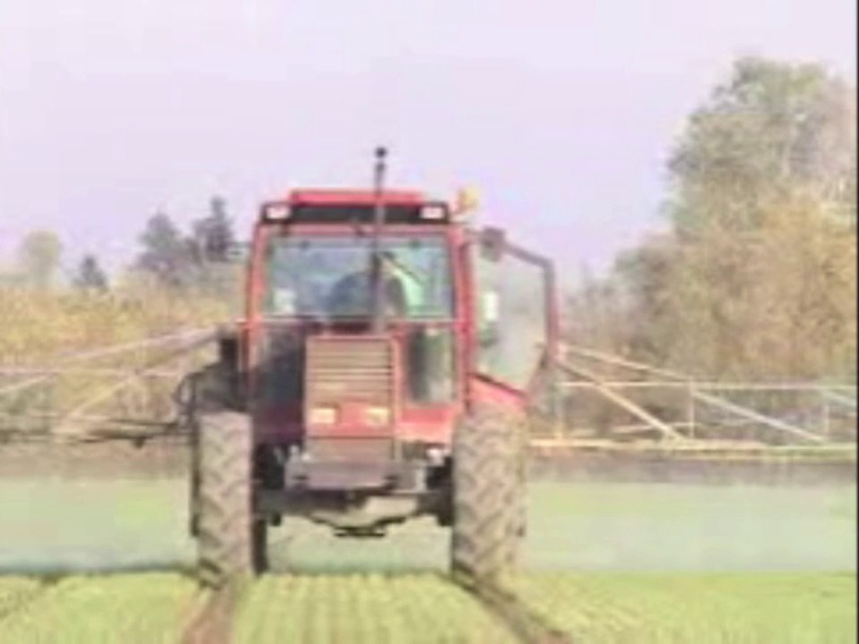 [Chercheurs d'eau] 7 - L'herbe pour piéger les pesticides