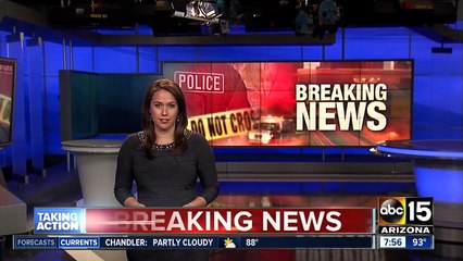 Two bodies found in Phoenix home