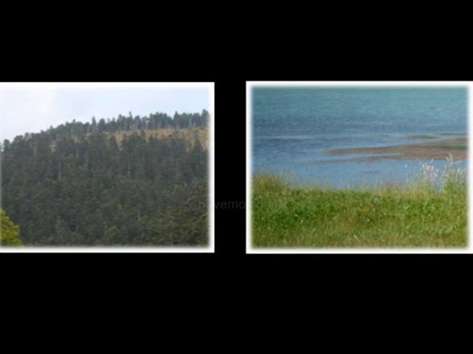 Location d'appartement maison à louer Gérardmer 88400 été Bon plan Mai Juin Juillet Août Septembre bon coin les Vosges