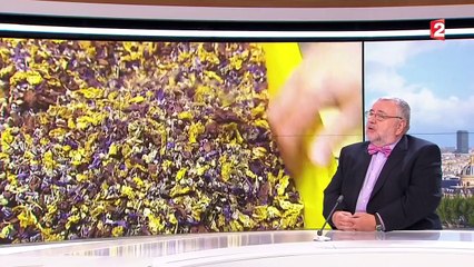 Phytothérapie : attention, plantes dangereuses !