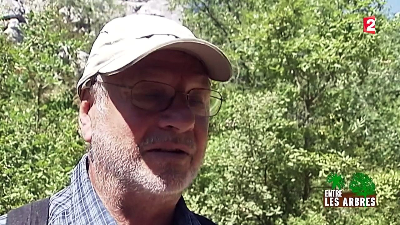 À la découverte du bois de Païolive