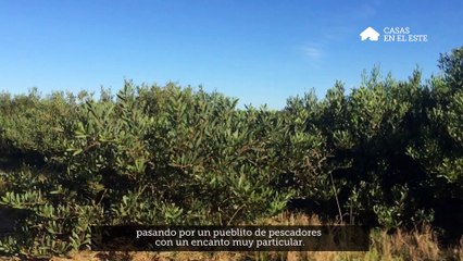 Recorriendo la Laguna de Rocha