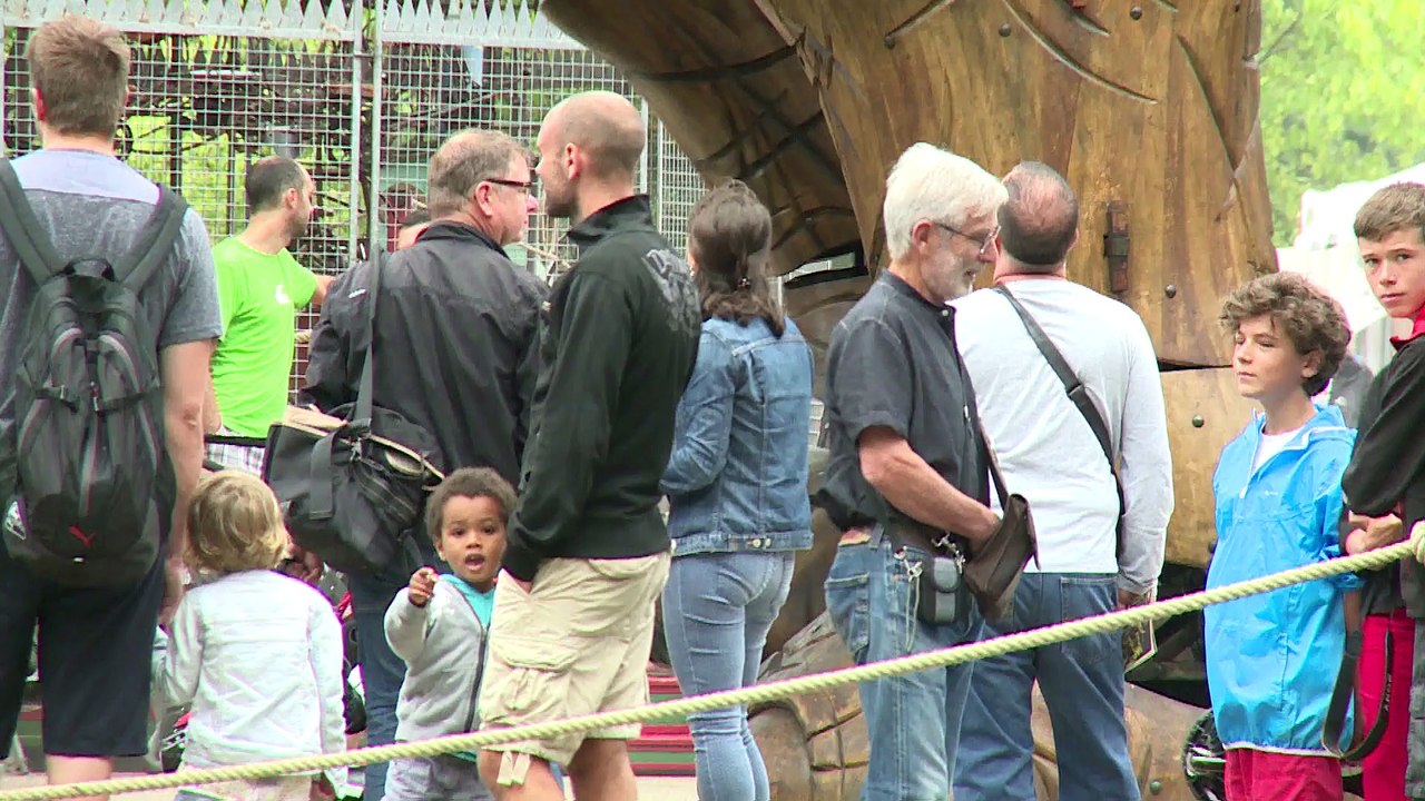 Nantes : un cheval Dragon en vacances sur son île natale