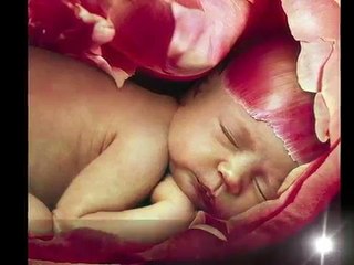 Efecto Mozart (Música clasica para bebés).wmv