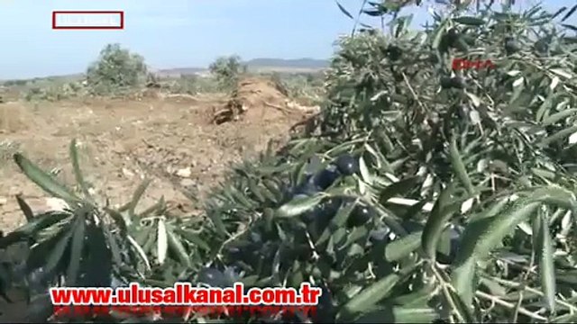 Danıştay son noktayı koydu