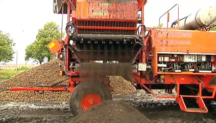 Aardappelcampagne begonnen: Dit is waar je het voor doet - RTV Noord