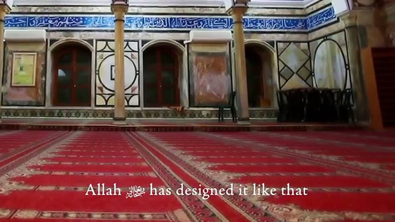 Cure of our Hearts Shaykh Tauqeer Chaudhary