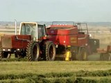 IH 3388 2 2 Baling Hay with a new holland BB960