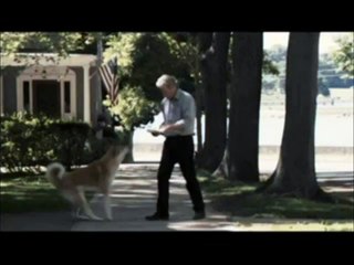 Heartwarming story of Hatchiko (dog) and later christian (lion)