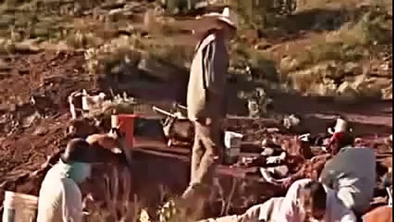 ARCTIC DINOSAURS NOVA Discovery Animals Nature documentary