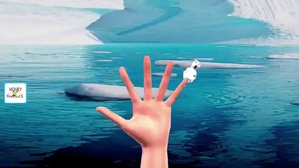 The Bear Finger Family Song | Animal 3D Cartoon Animation Finger Family Children Nursery Rhymes