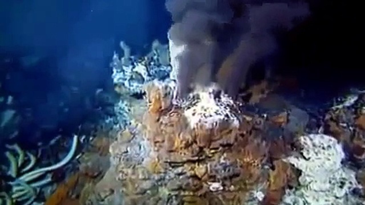 NOVA SCIENCE NOW EMERGENCE Discovery/Animals/Nature (documentary)