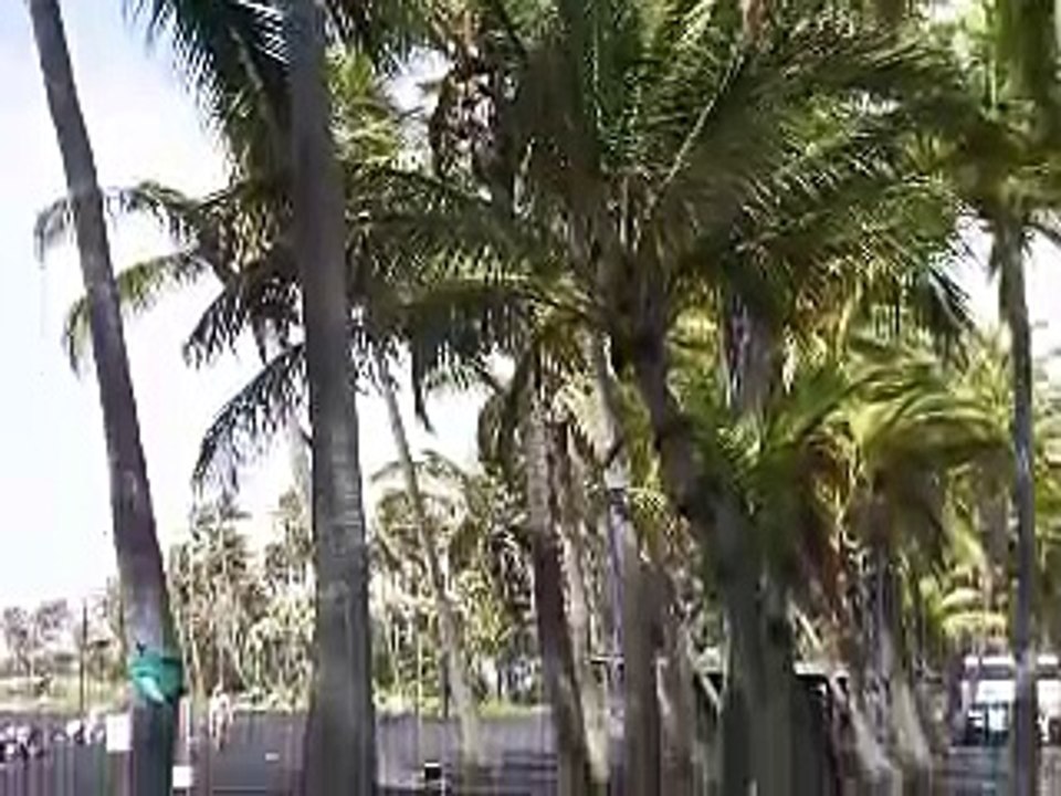 Hiking and Sea Turtles, Black Sand Beach, Big Island HI