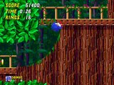「SRS」Sega Genesis | Sonic 2 Long Version 'Lost Levels' | Felipe