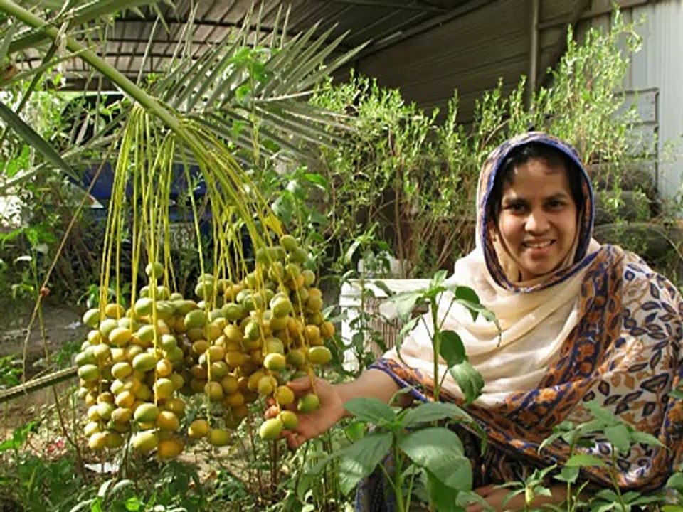 Date Fruit