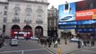 Piccadilly Circus to Regent street from bus - London  HD (add &fmt=22 to url) 57
