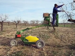 cesta poda almendros , www.martiplataformas.com.,almond pruning machinery,mandorla potatura